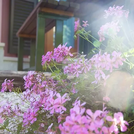 Country house Angelo Blu